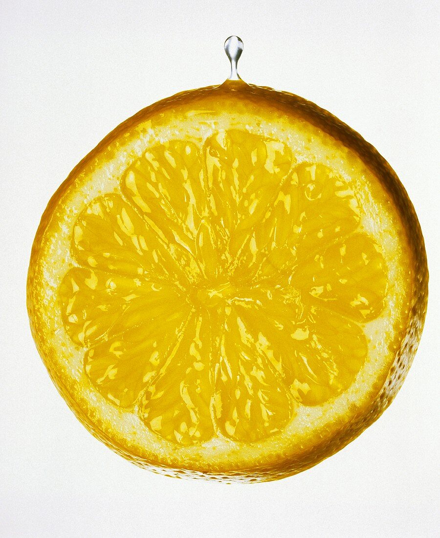 Dripping Slice of Lemon