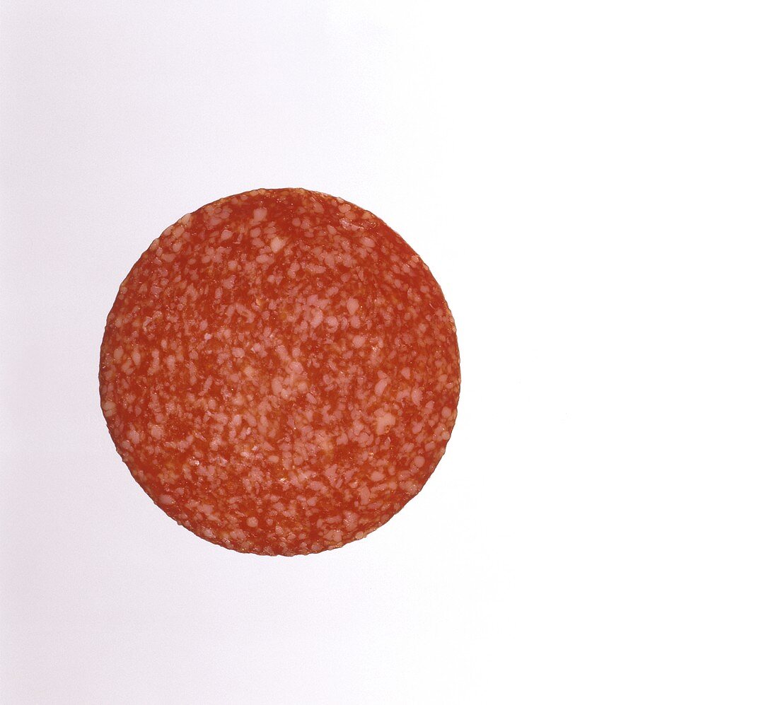 Slice of Salami