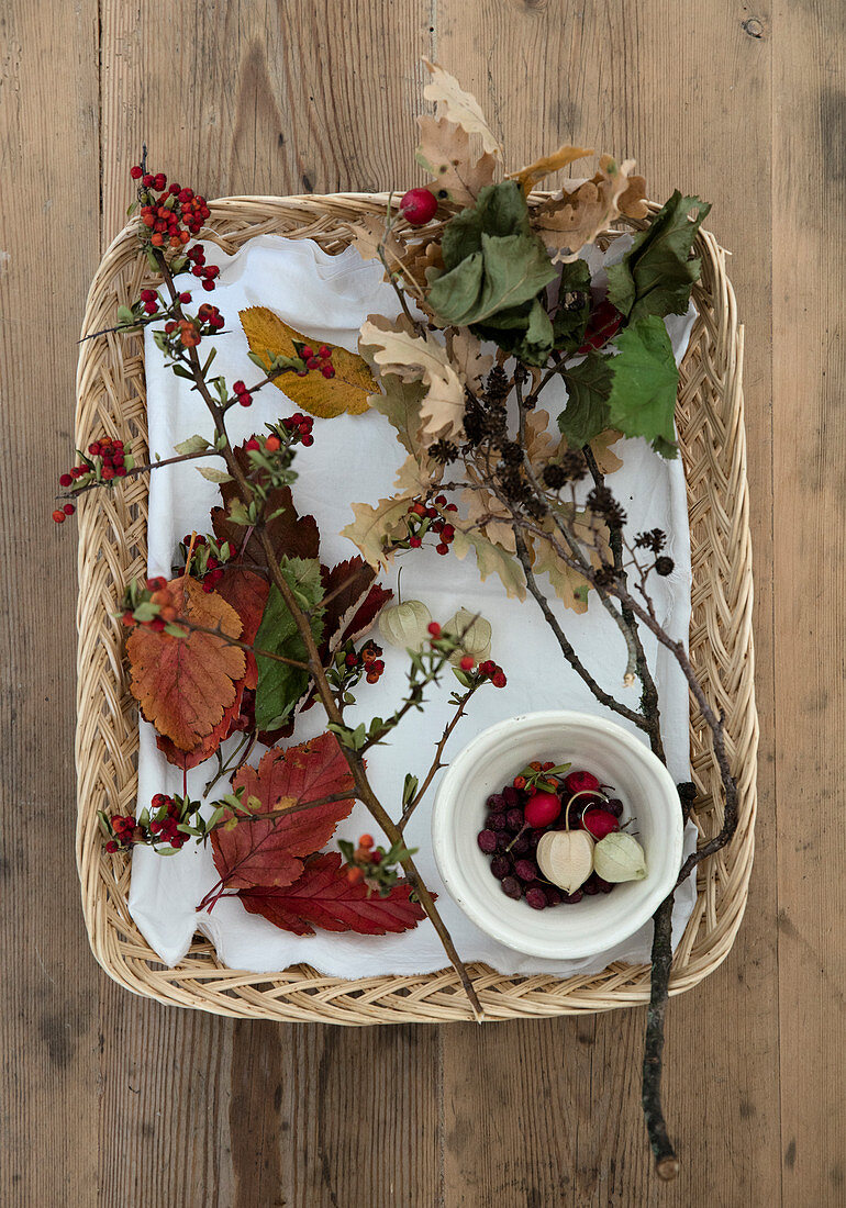 Basket with autumn leaves, twigs, and berries from the forest