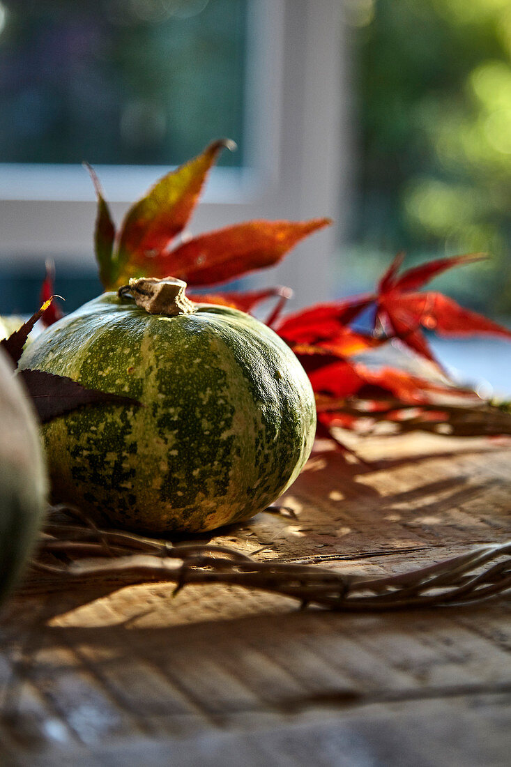 Kürbis und Herbstlaub