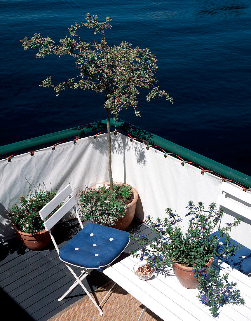 Gartenmöbel und Pflanzen auf der Terrasse eines Hausboots