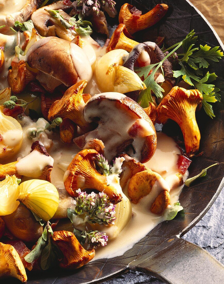 Mushrooms with onions, herbs, bacon, cream sauce in pan