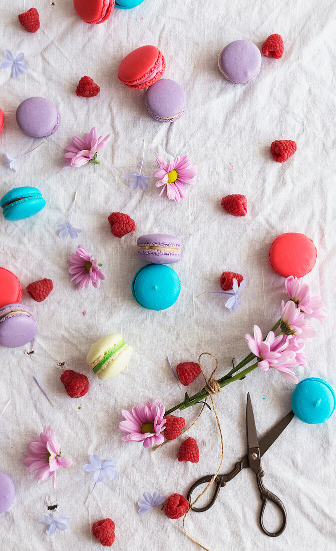 From above retro scissors and pink flowers placed on white cloth amidst colorful tasty macaroons and fresh raspberries