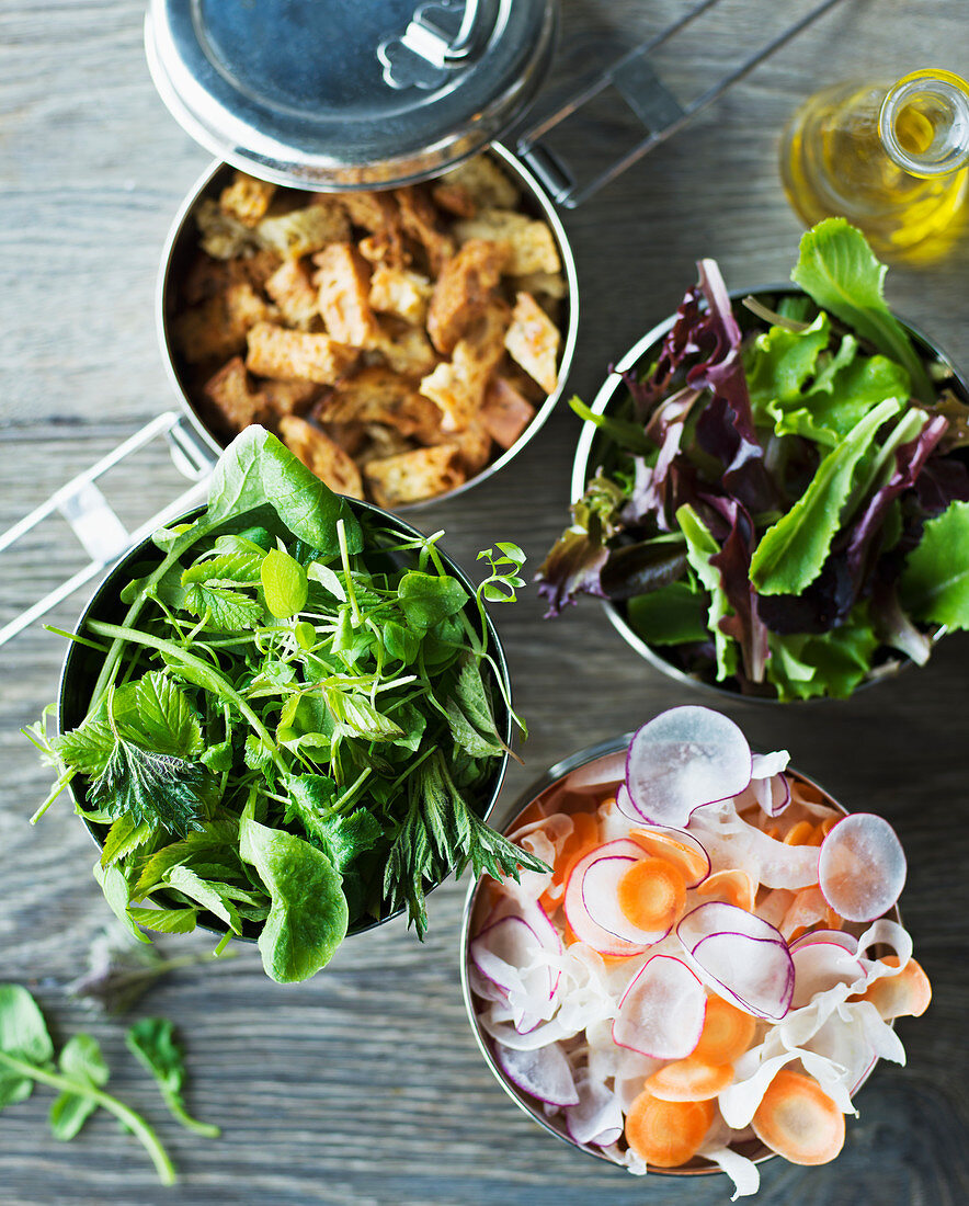 Verschiedene Salatzutaten (Kräuter, Blattsalate, Möhren, Radieschen, Croûtons)