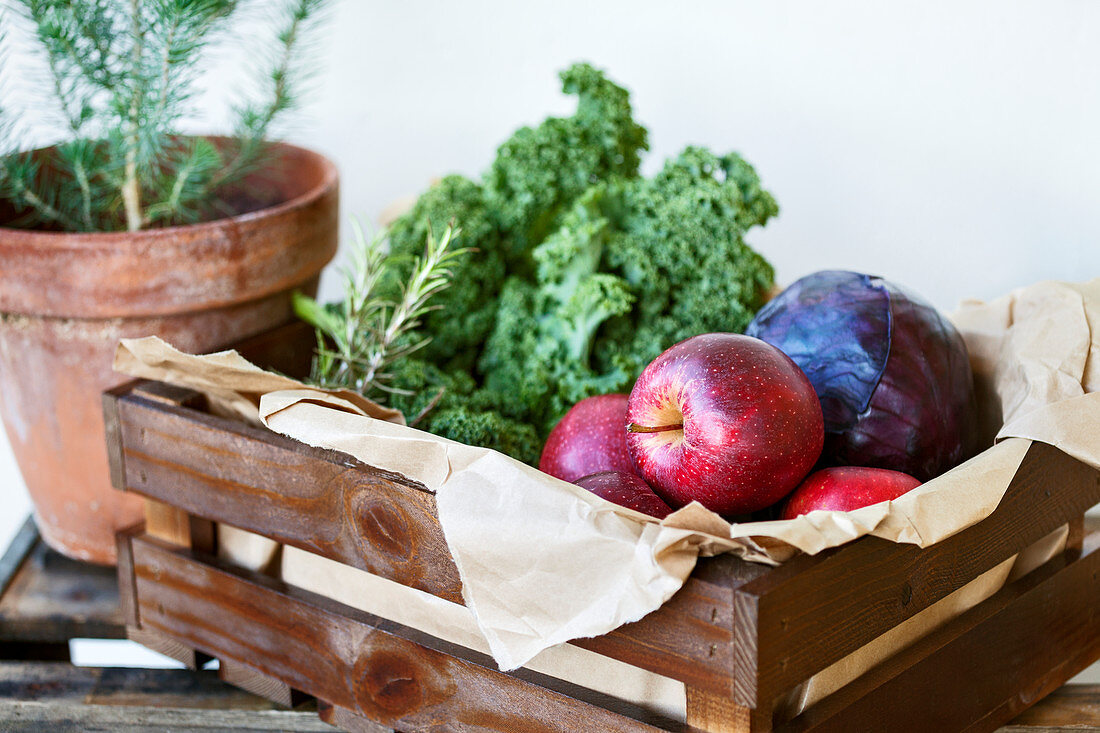 Grünkohl, Rotkohl, rote Äpfel und Rosmarin in Holzkiste