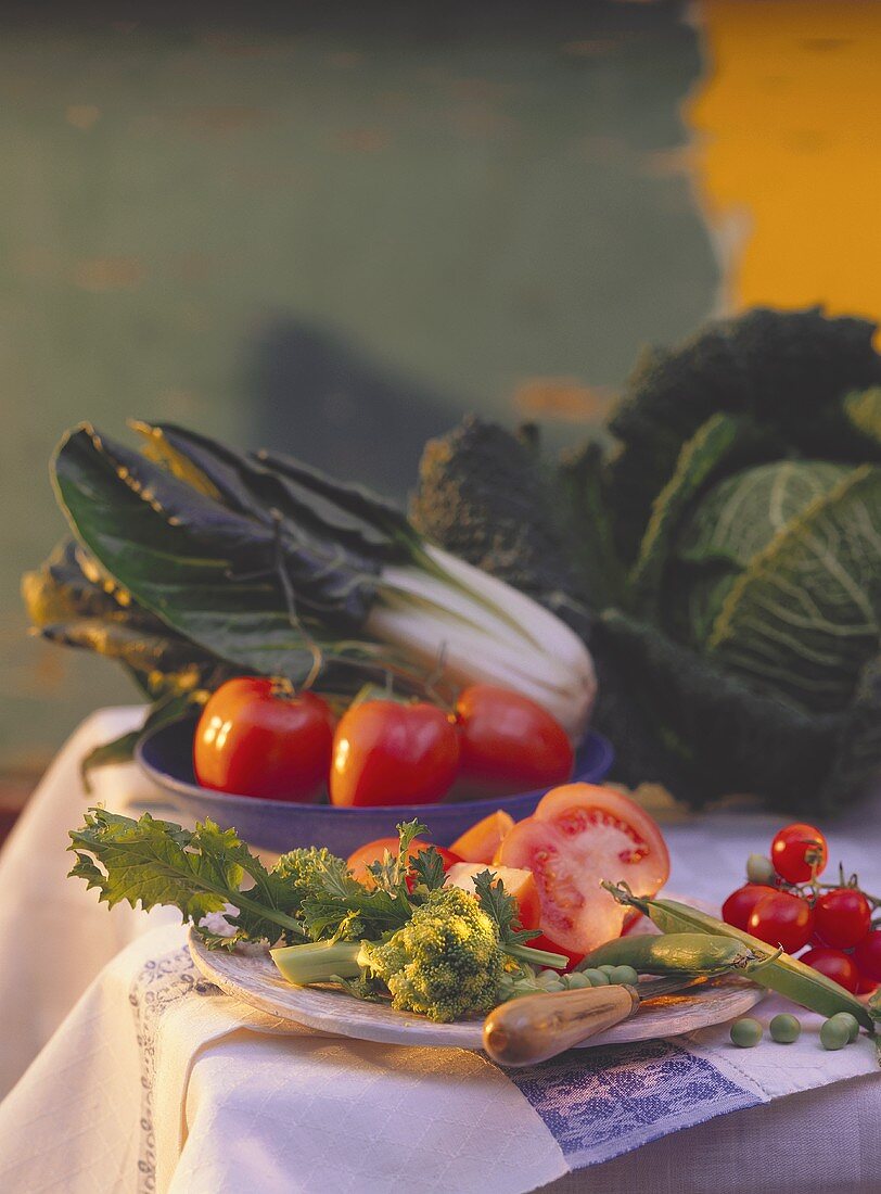 Teller & Schale mit verschiedenem Gemüse & ein Wirsing