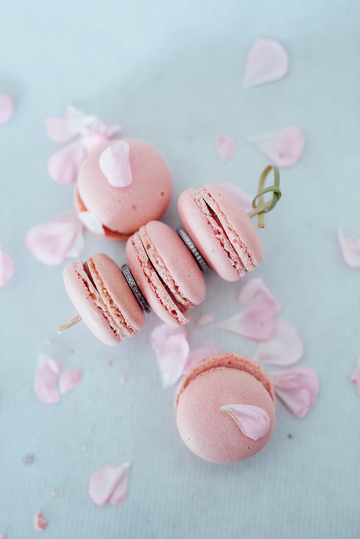 Pink macaroons