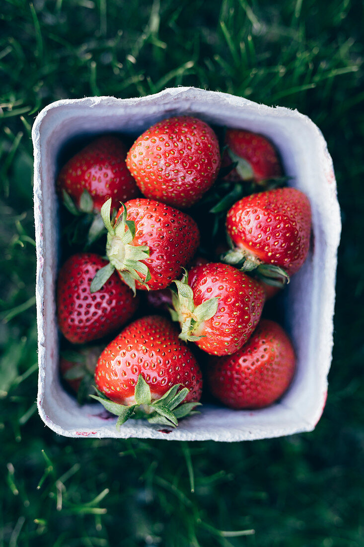 Erdbeeren im Pappschälchen