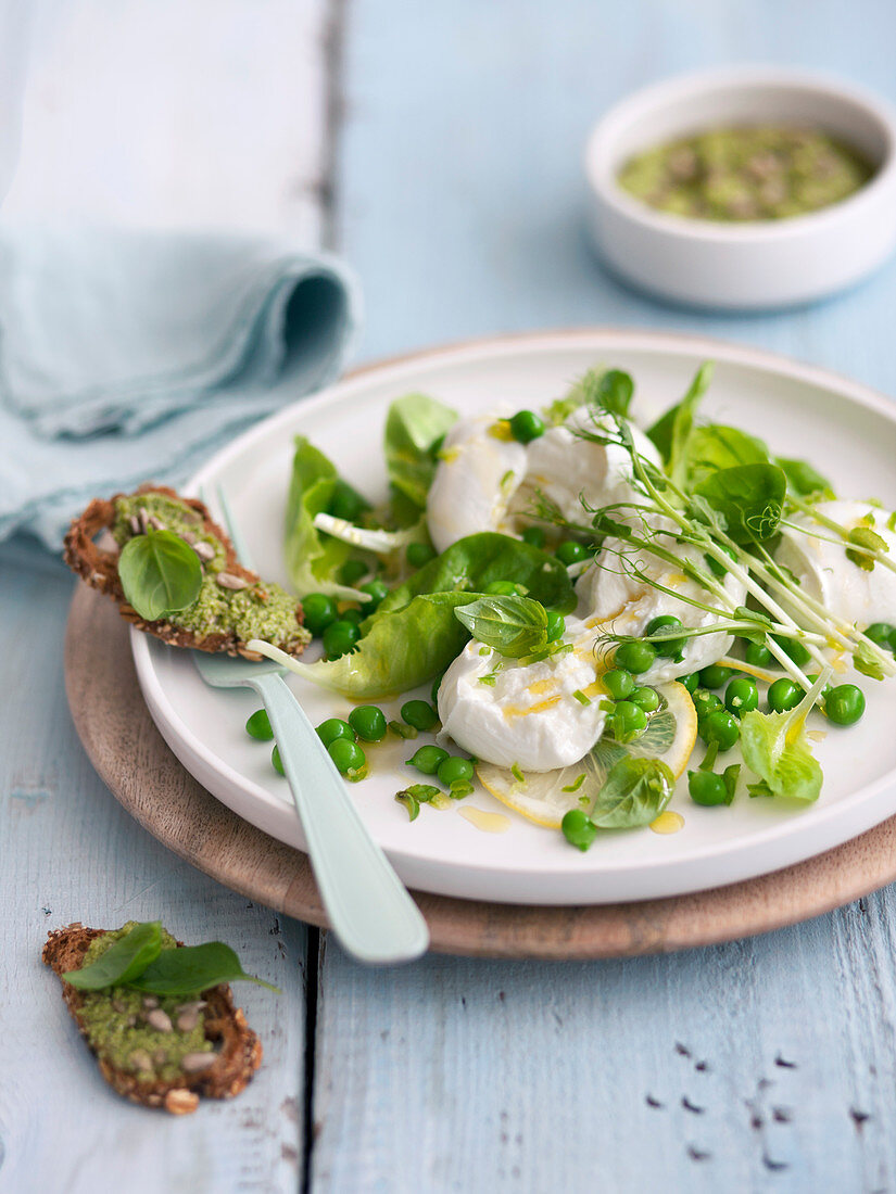 Büffelmozzarella auf Erbsensalat und Crostini mit Pesto