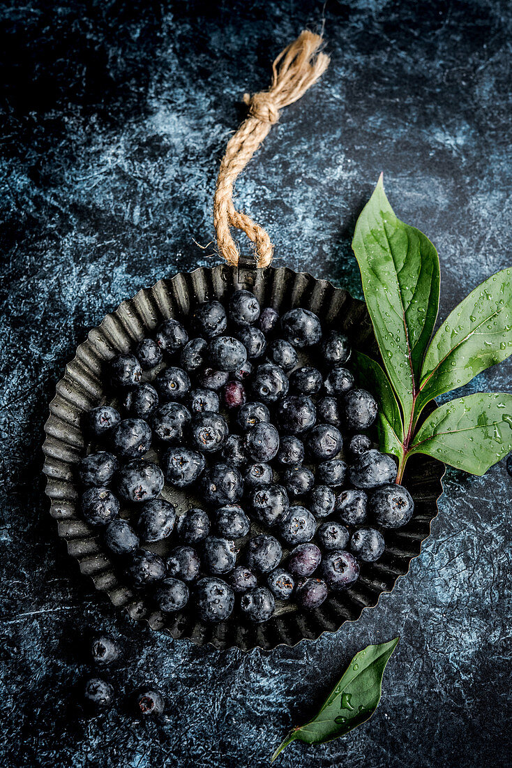 Frische Blaubeeren in Tarteform