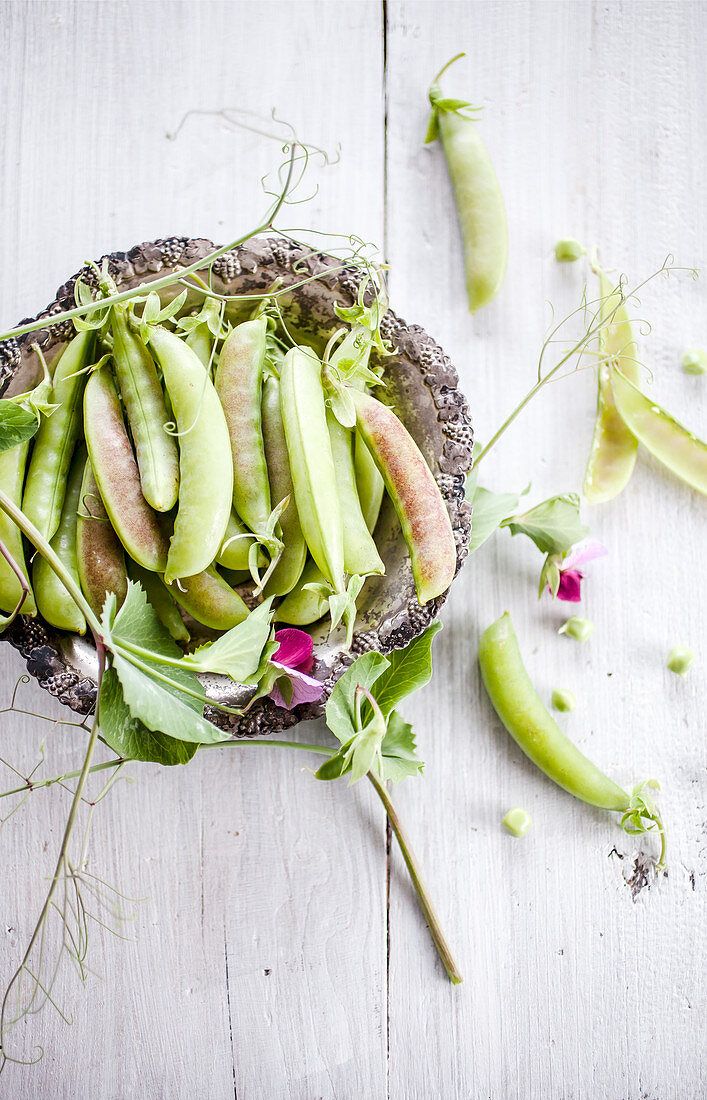 Spring blush green peas picked from the garden