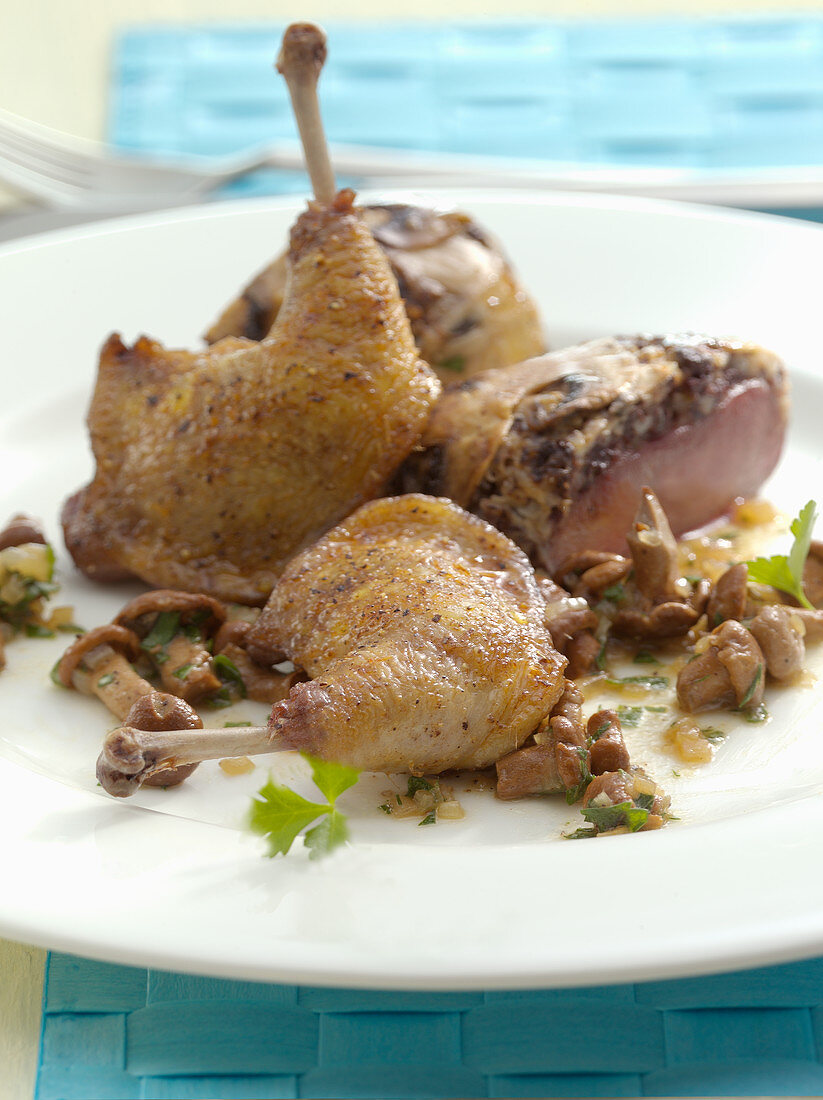 Pigeon with chanterelles