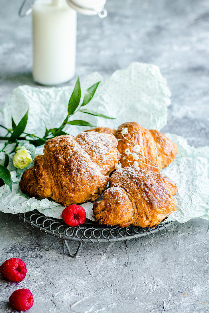 Croissants for breakfast sprinkled with powdered sugar served with raspberries and milk