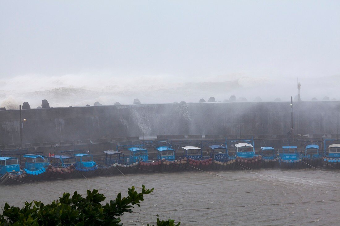 Coastal defences during Typhoon Usagi