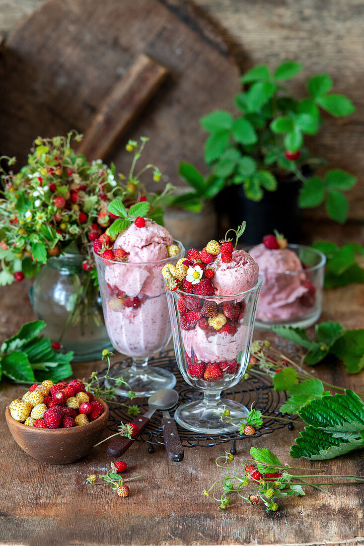 Wild strawberry ice cream