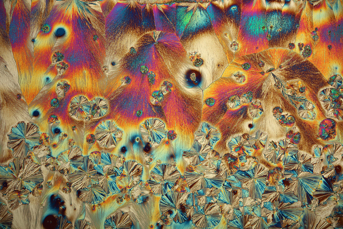 Vitamin C and zinc sulphate crystals,light micrograph