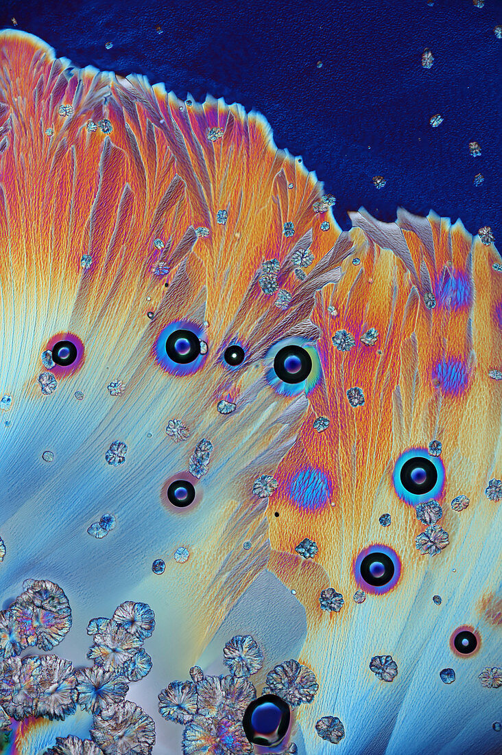 Bubbles in sucrose and zinc sulphate,light micrograph