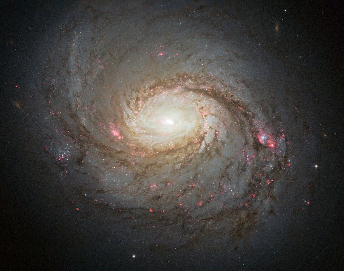 Messier 77 spiral galaxy,Hubble image