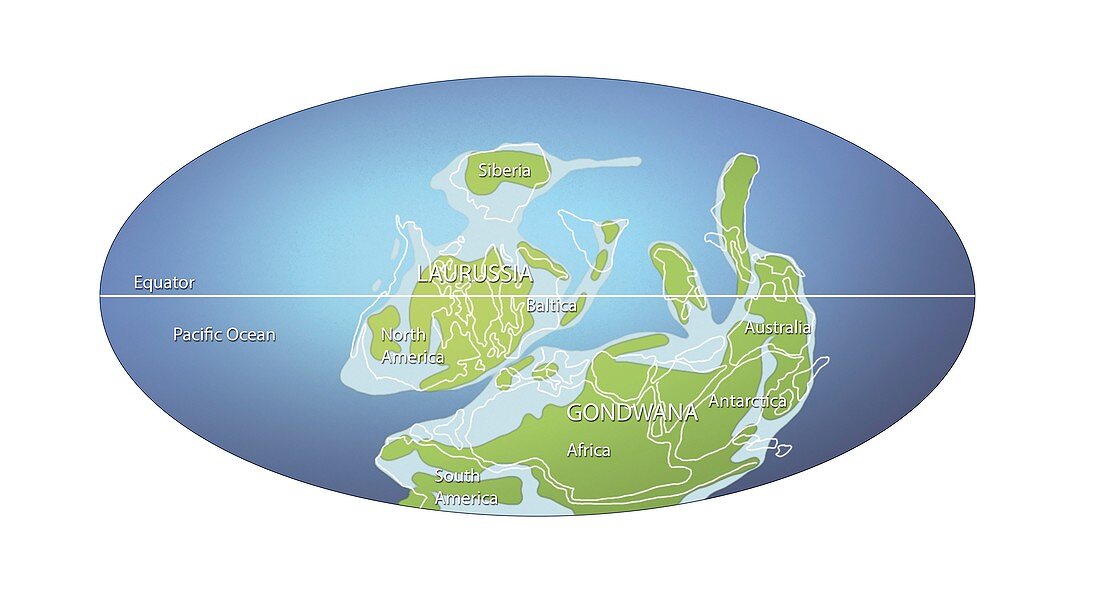 Continents 390 million years ago,illustration
