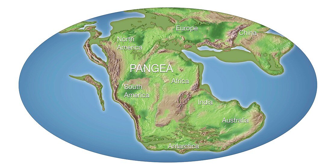 Continental drift,200 million years ago