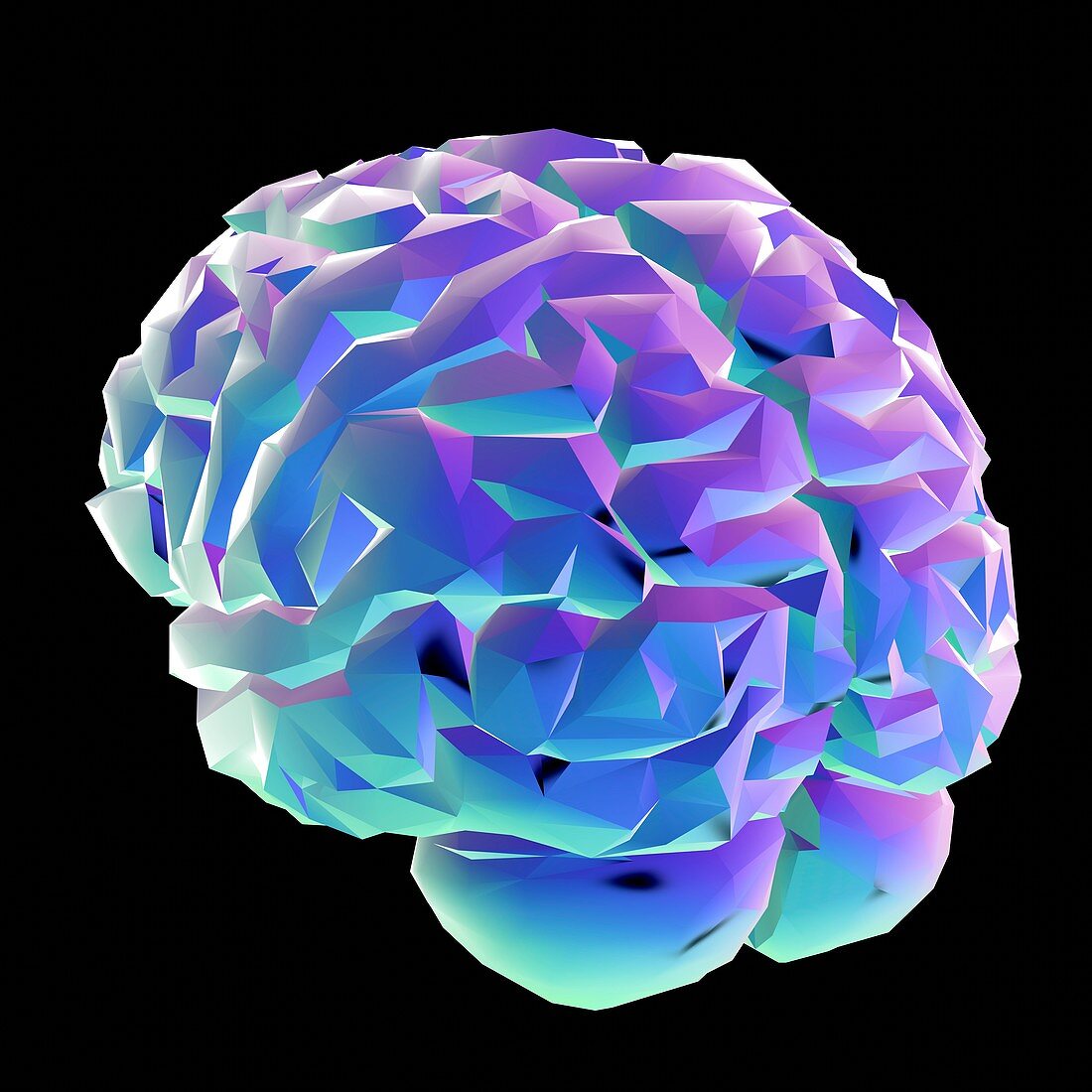 Human brain,illustration