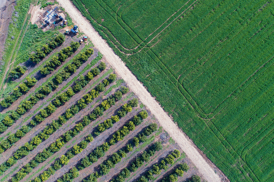 Farmland along the Yarkon stream,Israel,aerial photograph