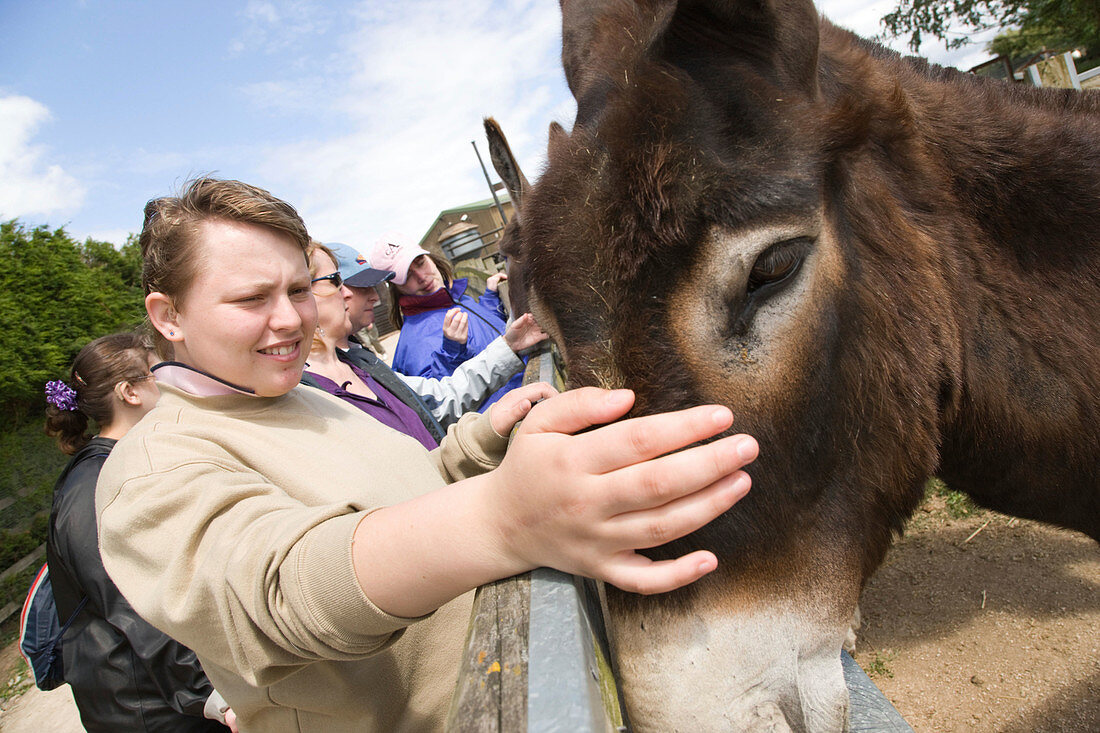 Young woman with learning disabilities stroking a donkey