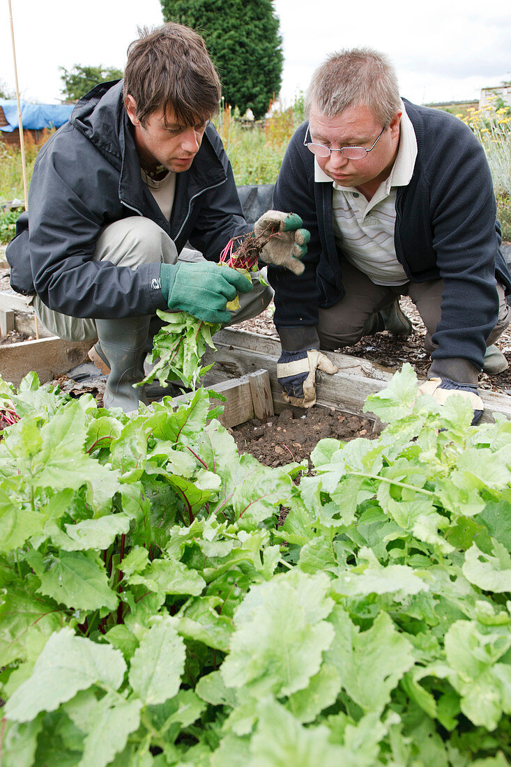Man with learning disability on allotment