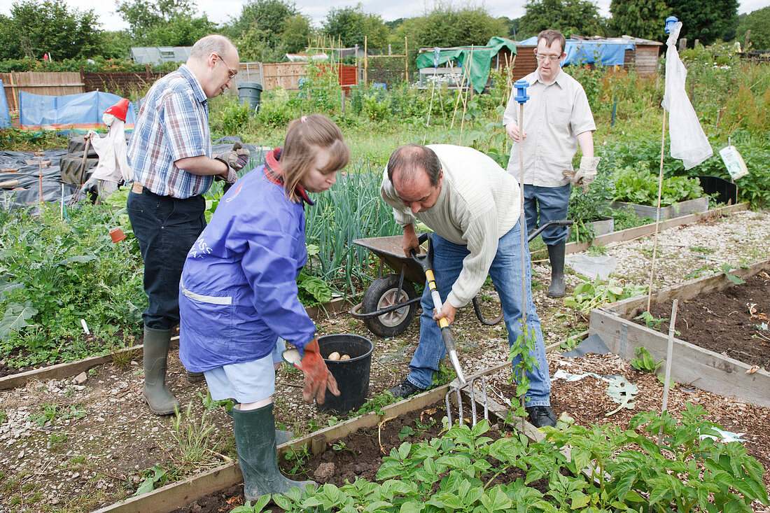 People with learning disabilities working on allotment