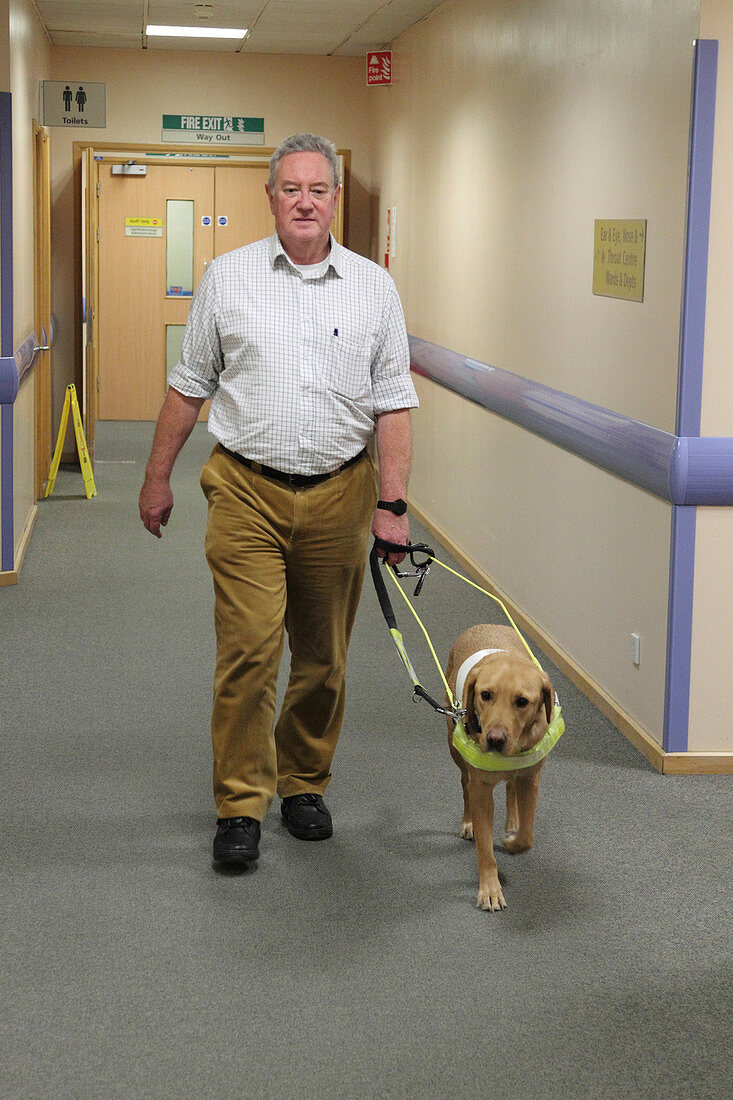 Patient with guide dog in corridor of eye clinic