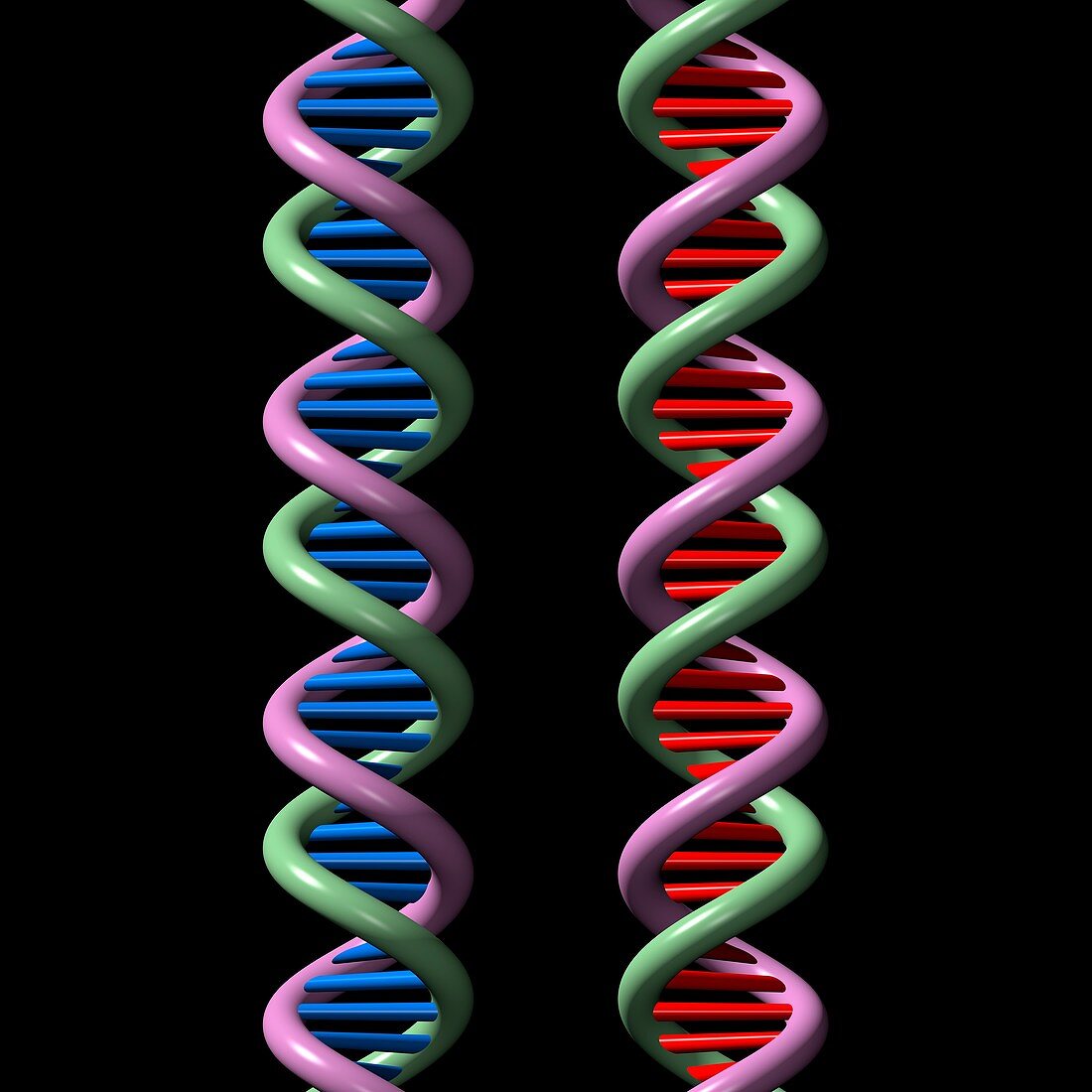 DNA molecules,illustration