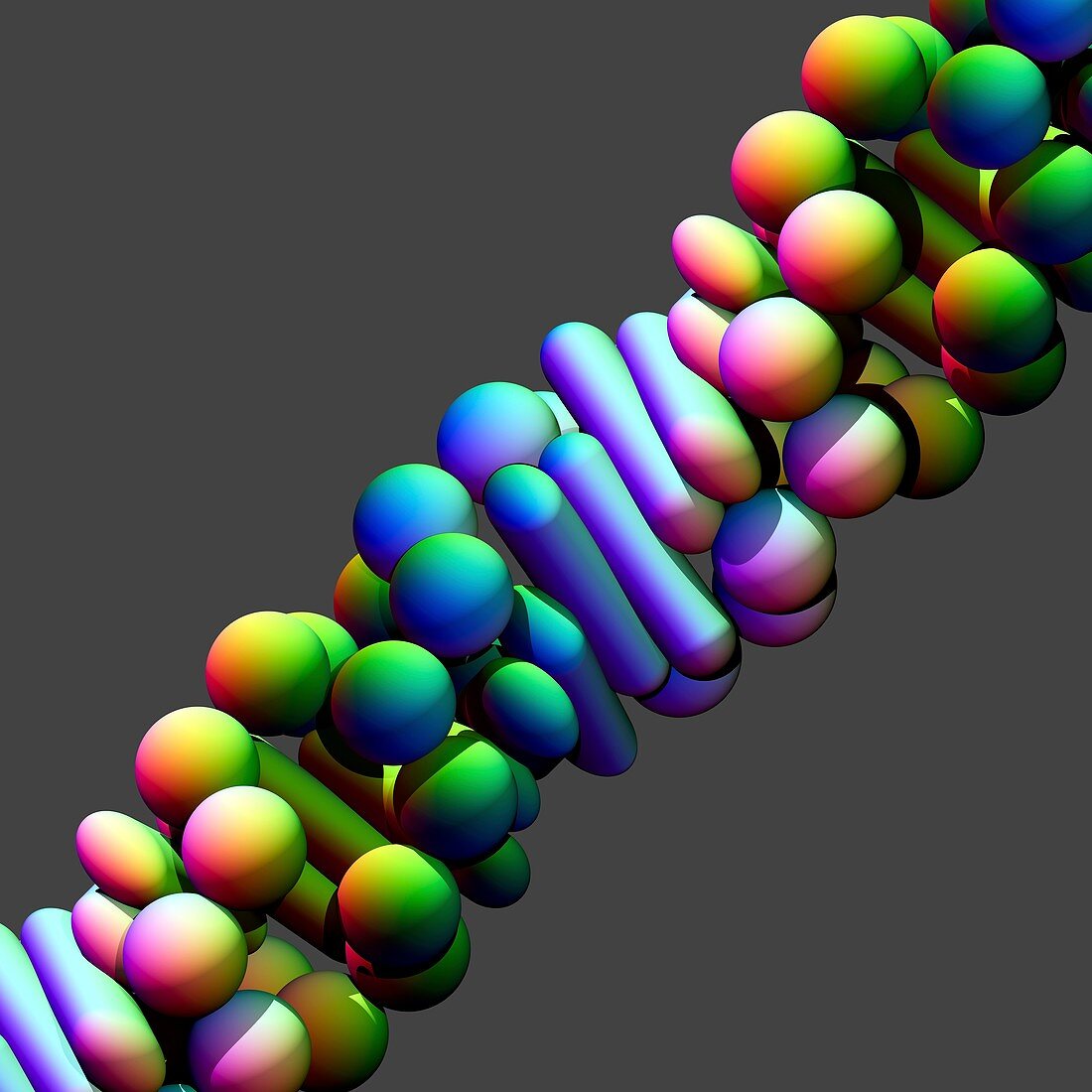 Z-DNA molecule,illustration