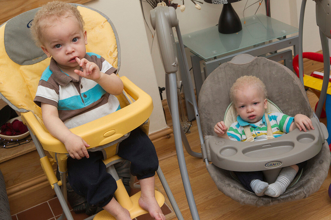 Boys at home in baby chairs