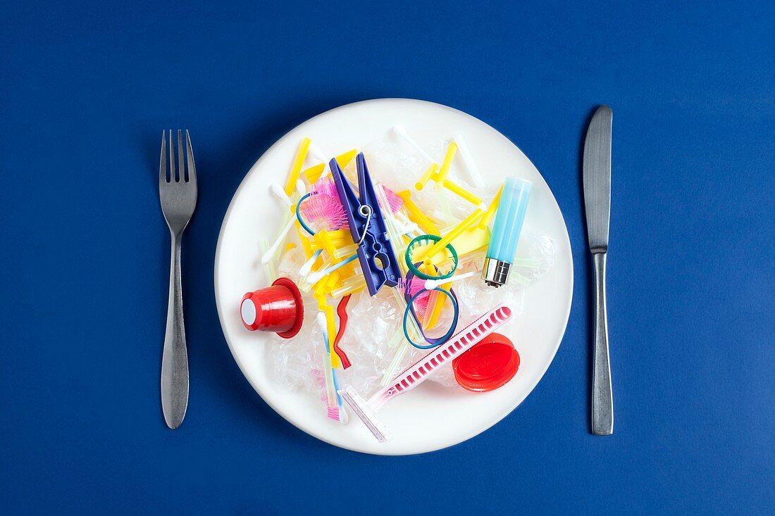 Plastic entering the food chain,conceptual image