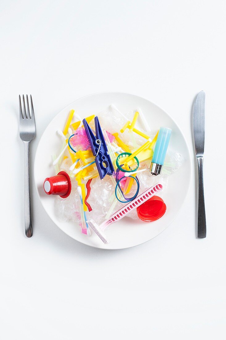 Plastic entering the food chain,conceptual image