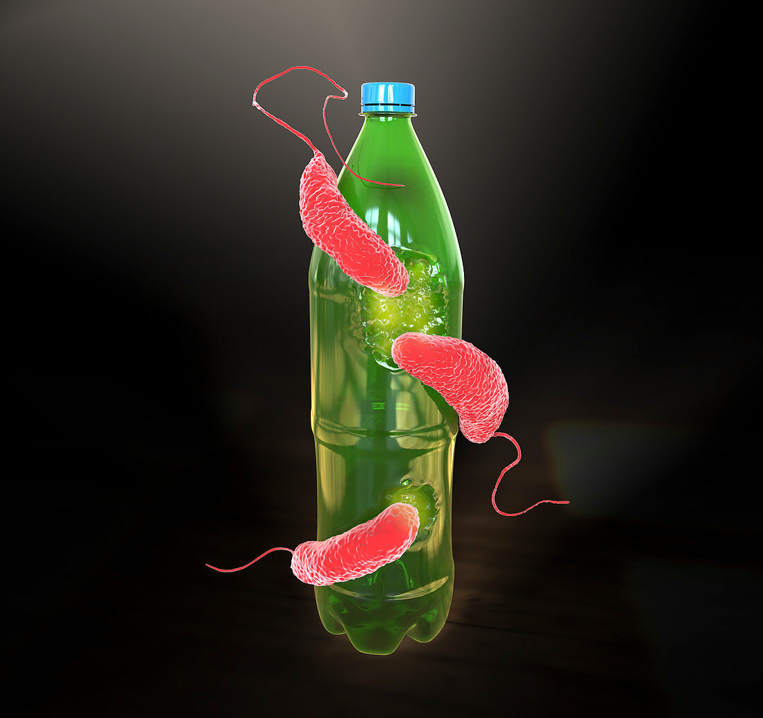 Plastic-degrading bacteria,illustration