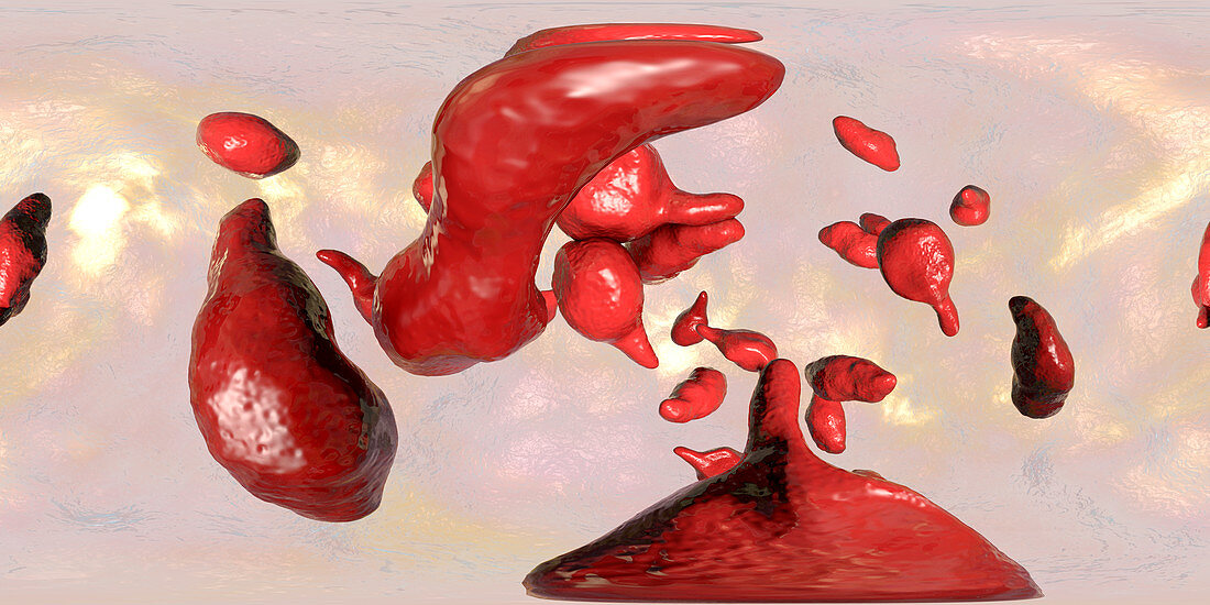 Mycoplasma genitalium bacteria,illustration