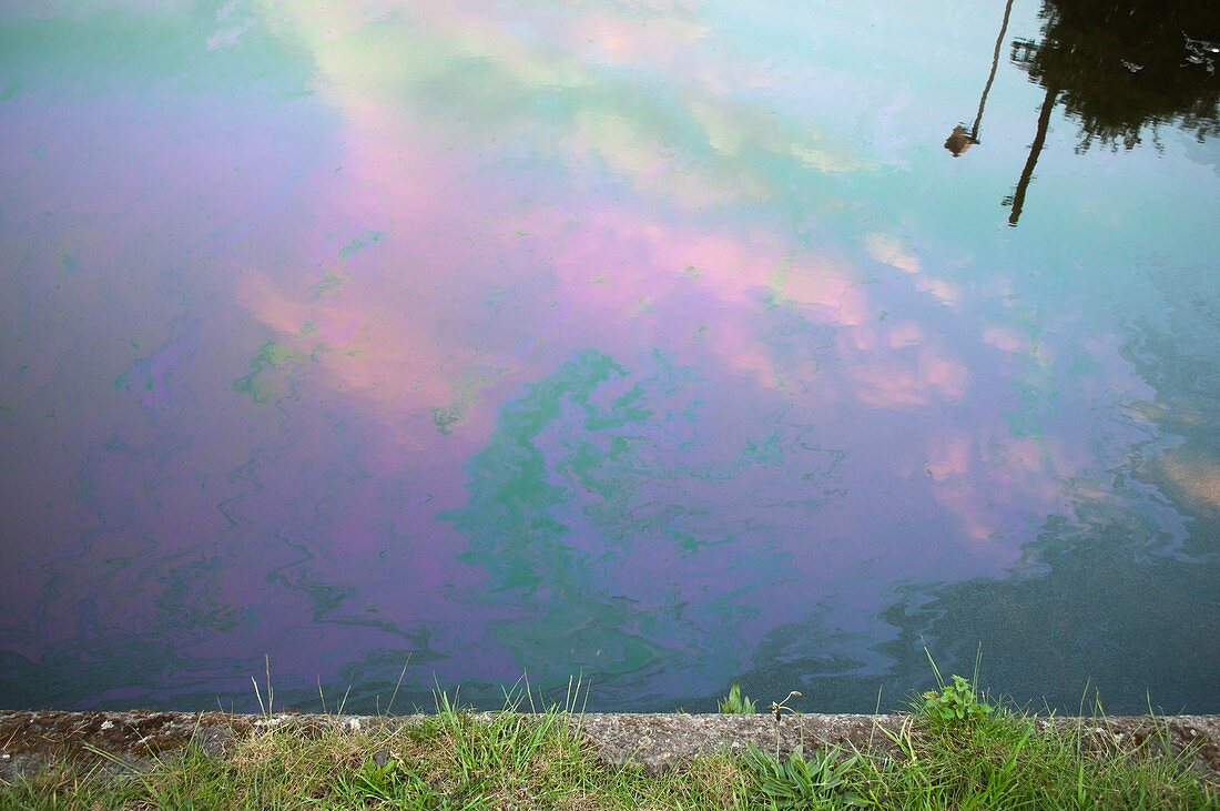 Oil slick on canal.