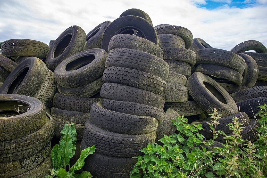 Dumped tyres.