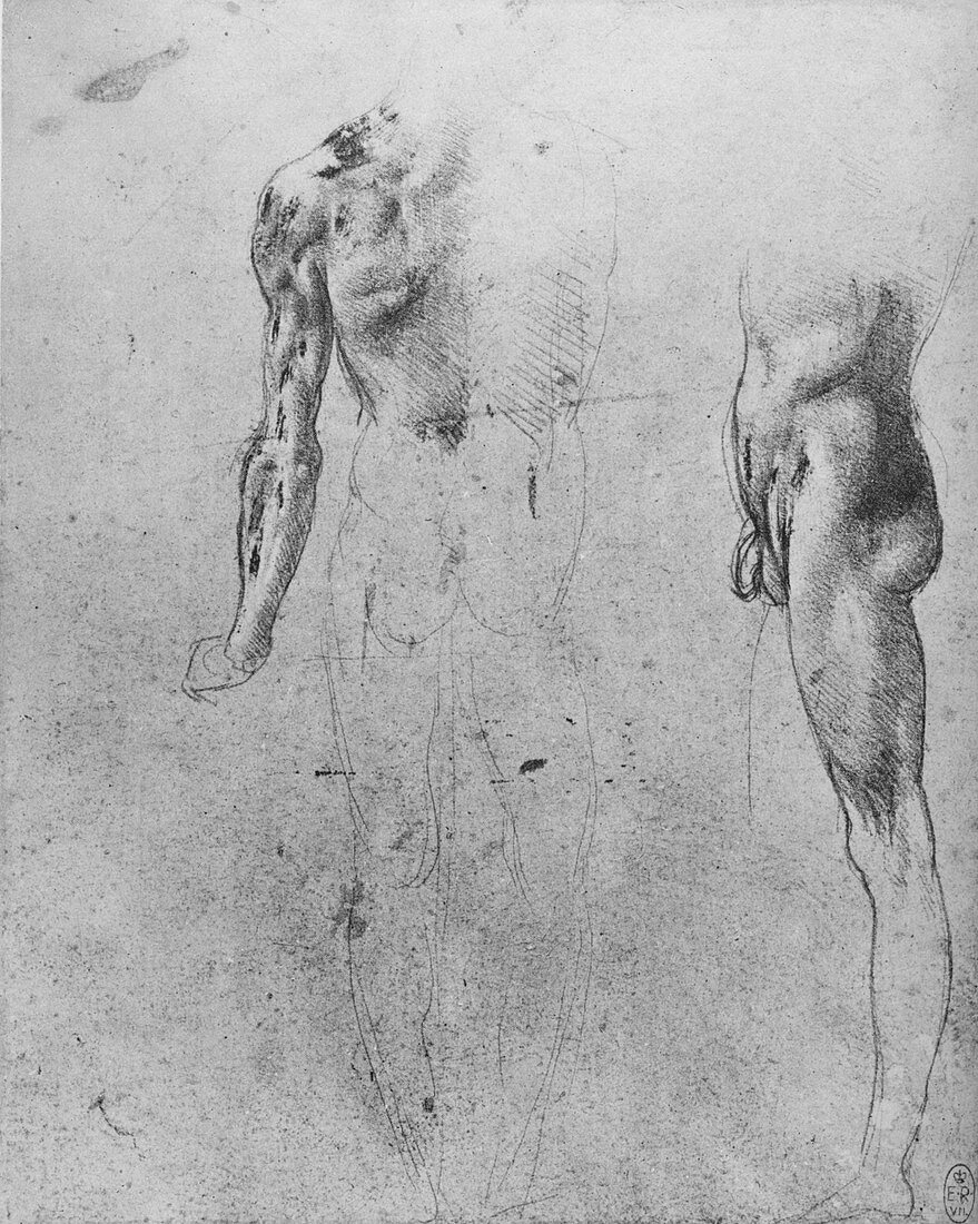 Studies of a Nude Man, c1480