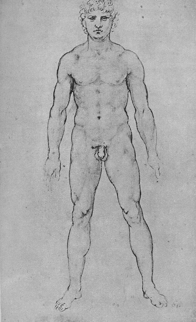 A Nude Man seen from the Front, c1480 (1945)