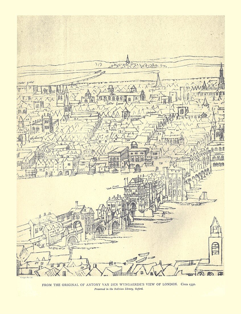 Van Den Wyngaerde's View of London, c1550, (1886)