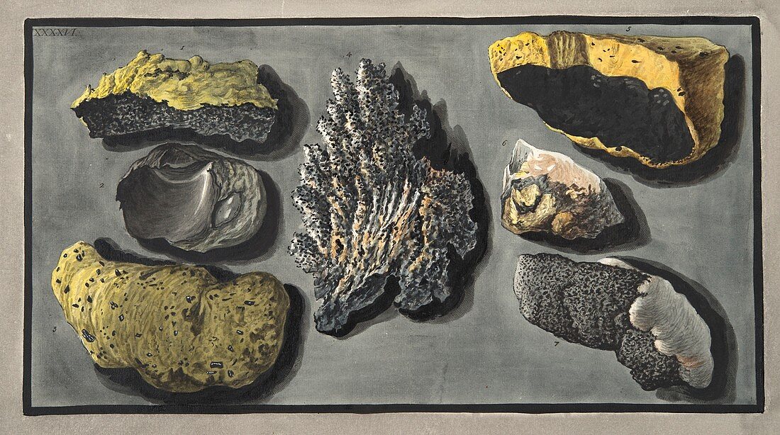 Specimens of volcanic matter from Vesuvius, 1776