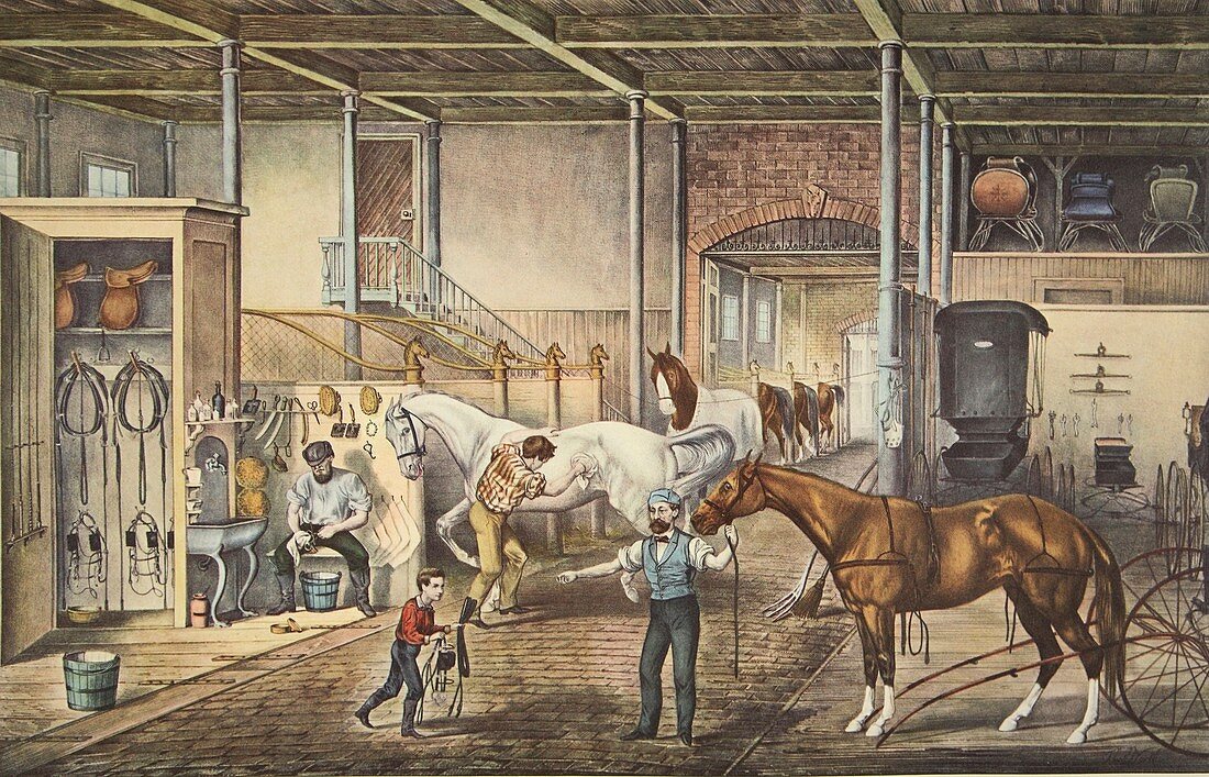 Trotting Cracks At Home, A Model Stable, 1868