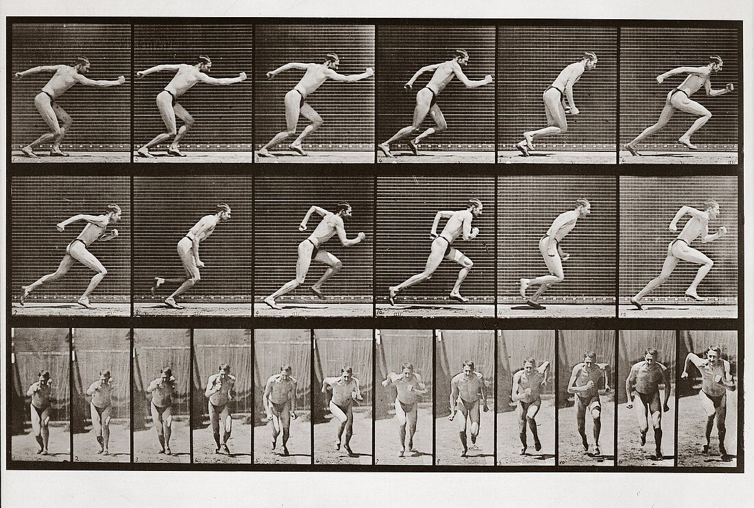 Man running, Plate 59 from Animal Locomotion, 1887