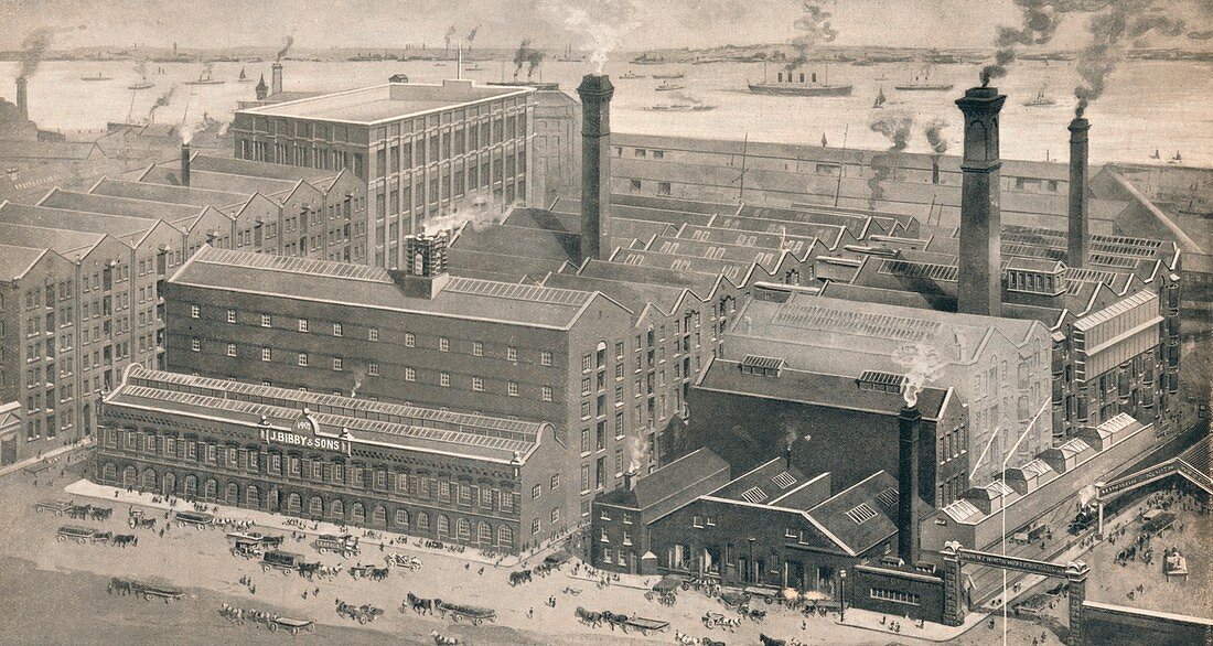 Our Seed Crushing and Oil Cake Mills, c1900, (1912)