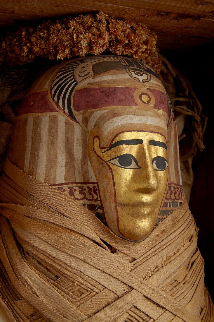 Ptolemaic coffin, mummy with gilt mask and floral garland