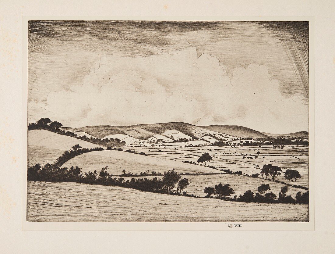 A Valley in the South Downs, 1925