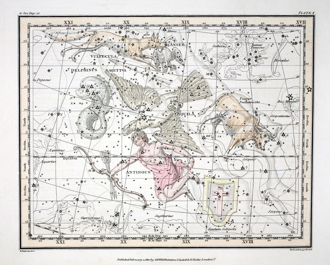 The Constellations (Plate X), 1822