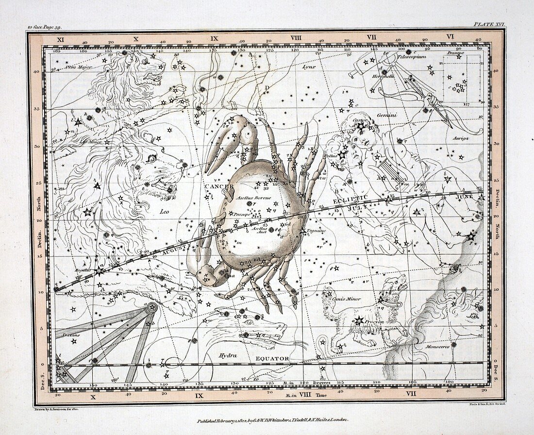 The Constellations (Plate XVI) Cancer, 1822